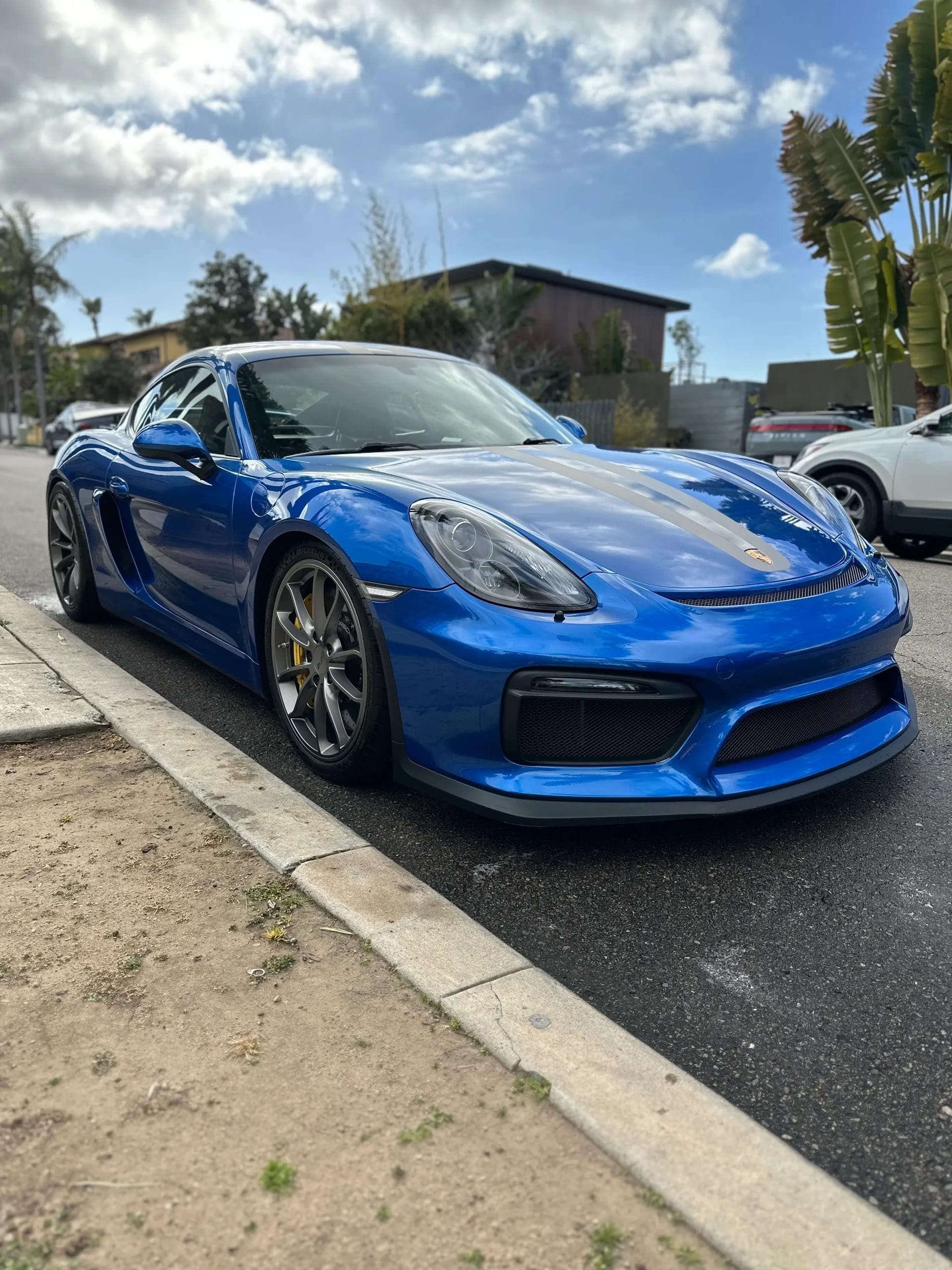 7174D7D6-502F-4955-B7DD-03DE45E48283